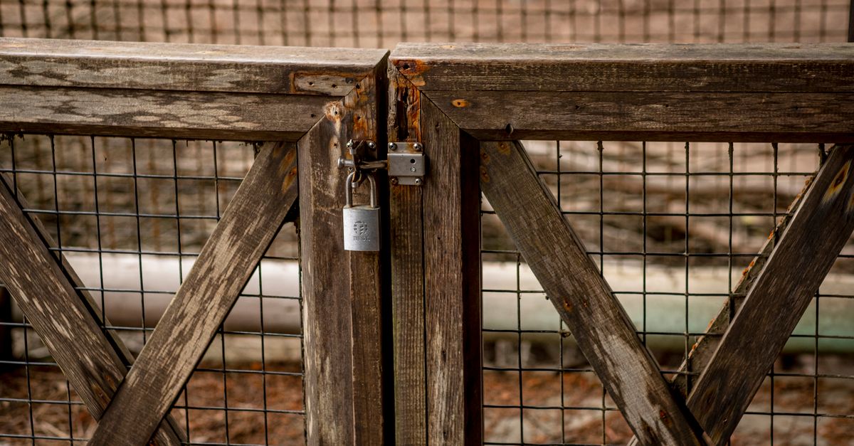 Choosing Composite Fencing Materials for Low Maintenance Living