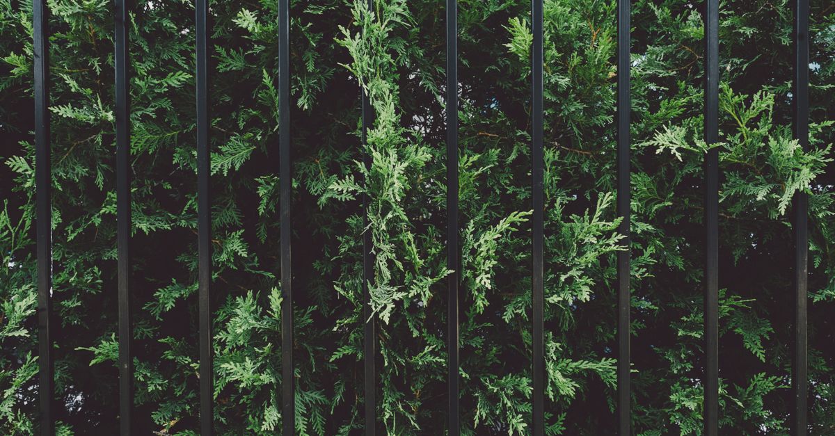 Common Issues in Commercial Fencing Maintenance