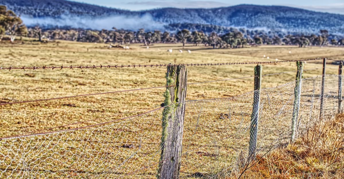 Common Types of Wooden Fencing for Melbourne Homes