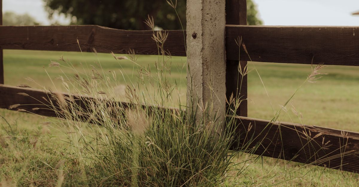Essential Steps for Installing a Residential Fence in Melbourne