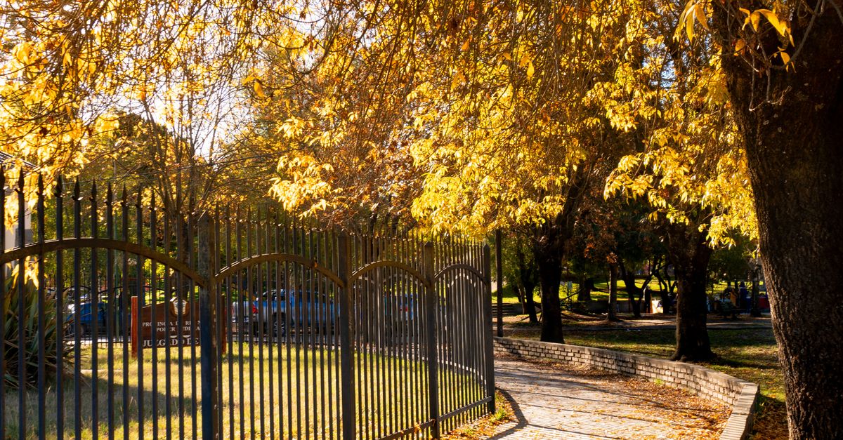 Exploring Concrete Fencing Materials for Enhanced Security