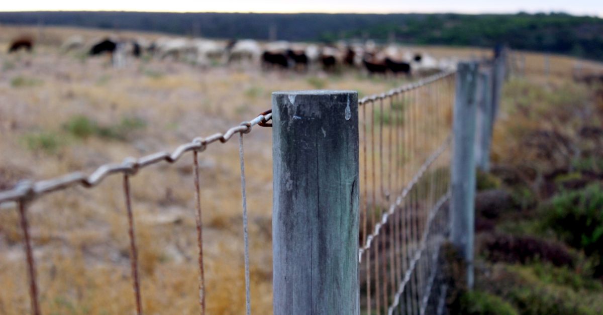Hidden Costs to Anticipate in Commercial Fencing Projects