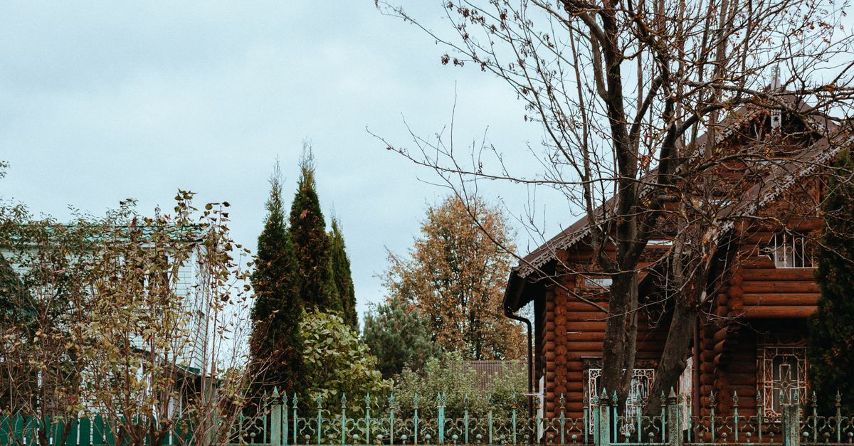 Innovative Natural Fencing Options for Residential Gardens